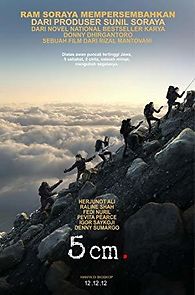 5 cm (2012)
