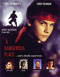 A Dangerous Place (2012)