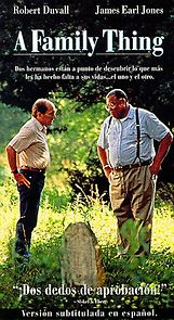 A Family Thing (1996)