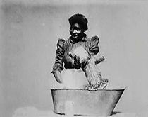 A Morning Bath (1896)