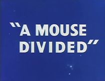A Mouse Divided (Short 1953) (1953)