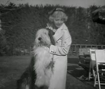 A Trip Thru a Hollywood Studio (Short 1935) (1935)