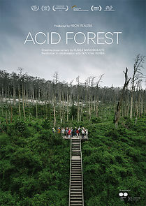 Acid Forest (2019)