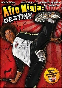 Afro Ninja (2009)