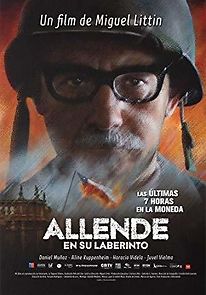 Allende en su laberinto (2015)