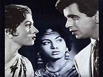 Amar (1954)