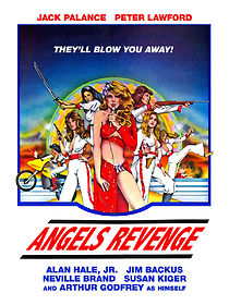 Angels' Brigade (1980)