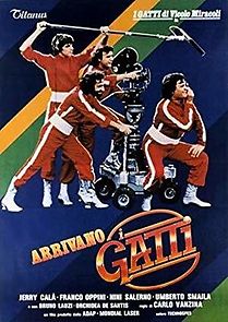 Arrivano i gatti (1980)