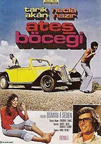 Ates Böcegi (1975)