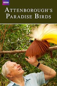 Attenborough's Paradise Birds (2015)