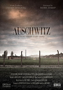 Auschwitz (Short 2015) (2016)