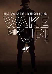 Avicii: Wake Me Up (2013)
