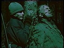 Befrielsesbilleder (1982)