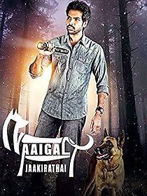 Beware of Dags (2014)