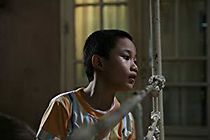 Bi, Don't Be Afraid (2012)