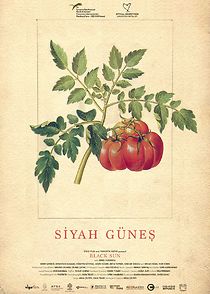 Black Sun (Short 2019) (2020)