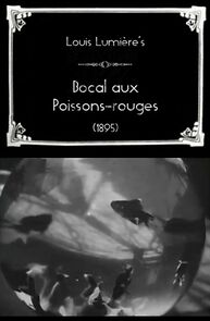 Bocal aux poissons-rouges (Short 1895) (1895)