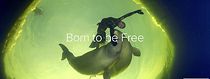 Born to Be Free (2017)