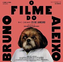 Bruno Aleixo's Film (2020)