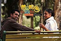 Butterfly Symphony (2013)