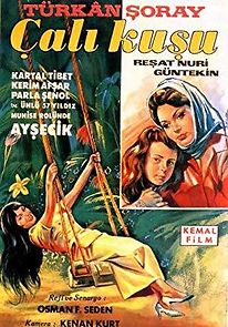 Çalikusu (1966)