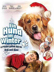 Christmas with Tucker (2013)