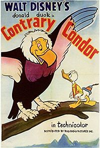 Contrary Condor (1944)