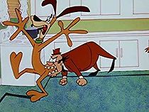 Crazy Mixed Up Pup (1955)