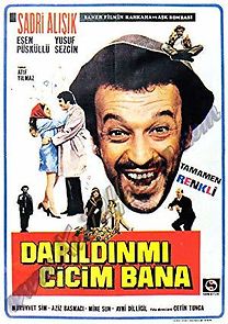 Darildin mi cicim bana? (1970)