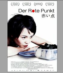 Der rote Punkt (2009)
