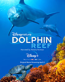 Dolphin Reef (2020)