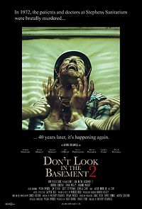 Don't Look in the Basement 2 (2016)