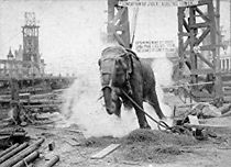 Electrocuting an Elephant (1903)