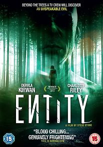 Entity (2013)