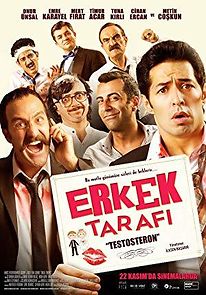 Erkek tarafi testosteron (2013)
