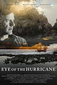 Eye of the Hurricane (2014)