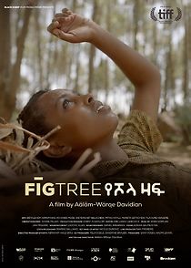 Fig Tree (2019)