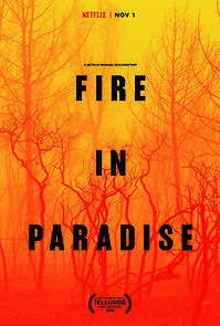 Fire in Paradise (Short 2019) (2019)