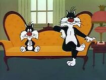 Fish and Slips (Short 1962) (1962)