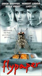 Flypaper (1999)