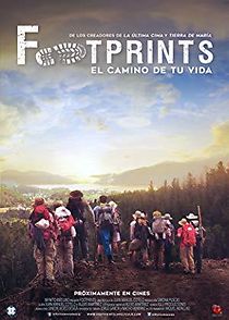 Footprints, the Path of Your Life (2016)
