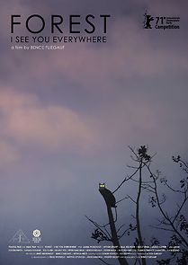 Forest: I See You Everywhere (2021)