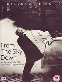 From the Sky Down (2011)