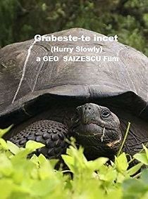 Grabeste-te încet (1981)