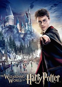 Harry Potter and the Forbidden Journey (2010)