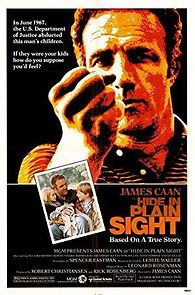 Hide in Plain Sight (1980)