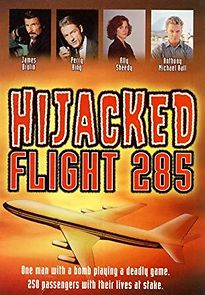 Hijacked: Flight 285 (1996)