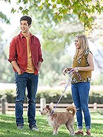 Hometown Hero (2016)