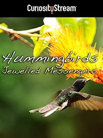 Hummingbirds: Jewelled Messengers (2012)
