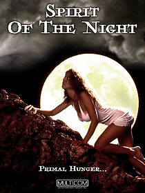 Huntress: Spirit of the Night (1996)